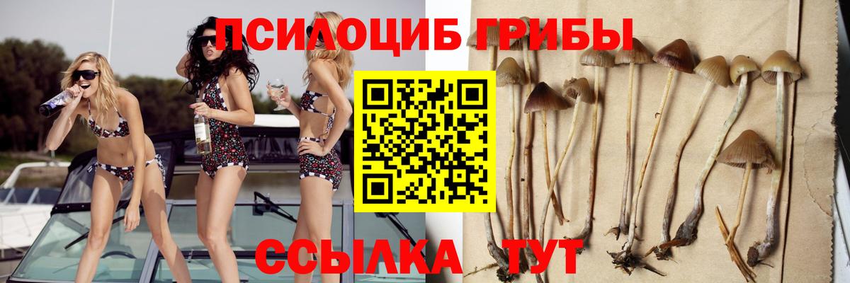 Большой Камень  Галлюциногенные грибы Psilocybe  Вход с VPN  Псилоцибиновые грибы GOLDEN TEACHER 