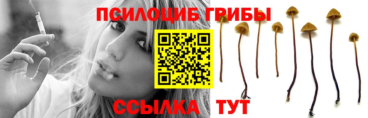 Псилоцибиновые грибы MAGIC MUSHROOMS Большой Камень